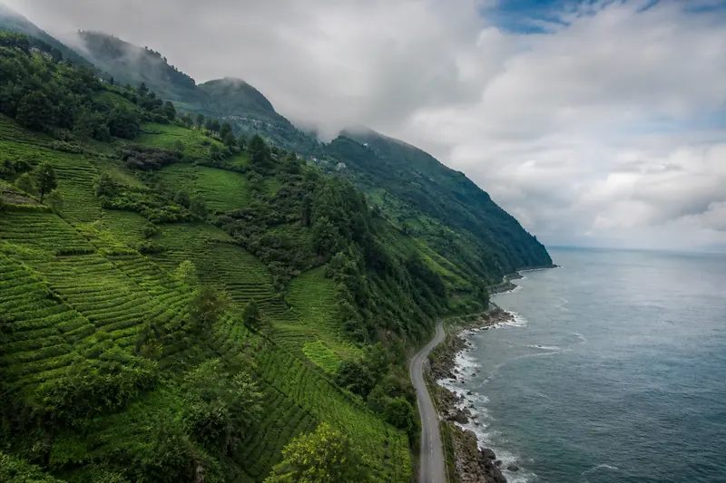 Trabzon - Rize Çekici Hizmeti